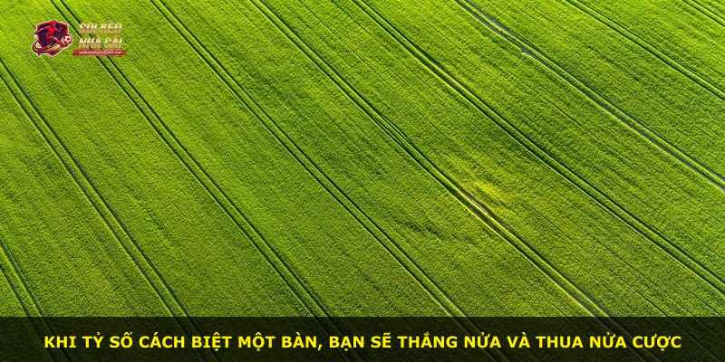 Khi tỷ số cách biệt một bàn, bạn sẽ thắng nửa và thua nửa cược