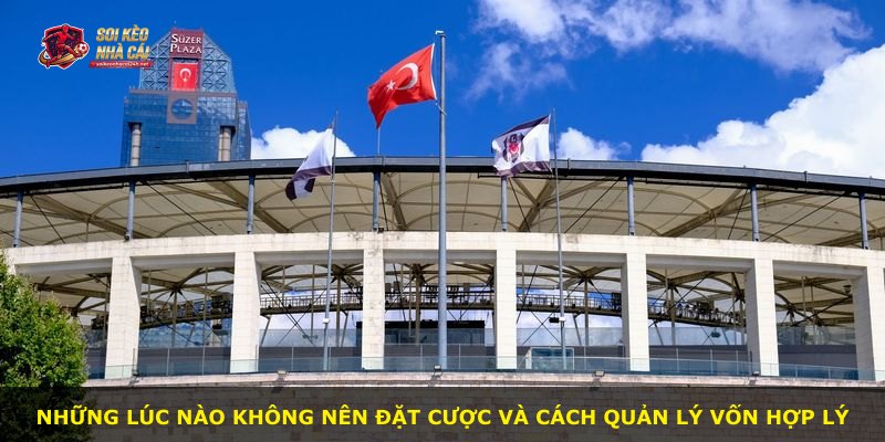 Những lúc nào không nên đặt cược và cách quản lý vốn hợp lý