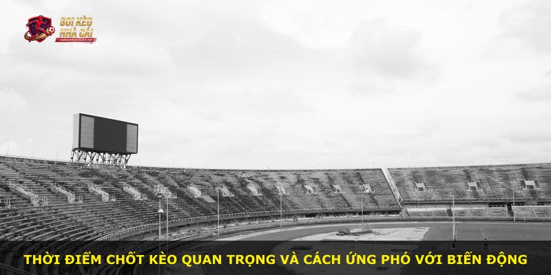 Thời điểm chốt kèo quan trọng và cách ứng phó với biến động