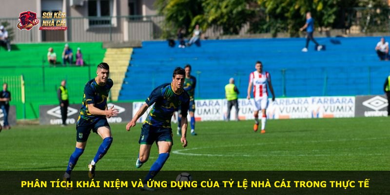 Phân tích khái niệm và ứng dụng của tỷ lệ nhà cái trong thực tế