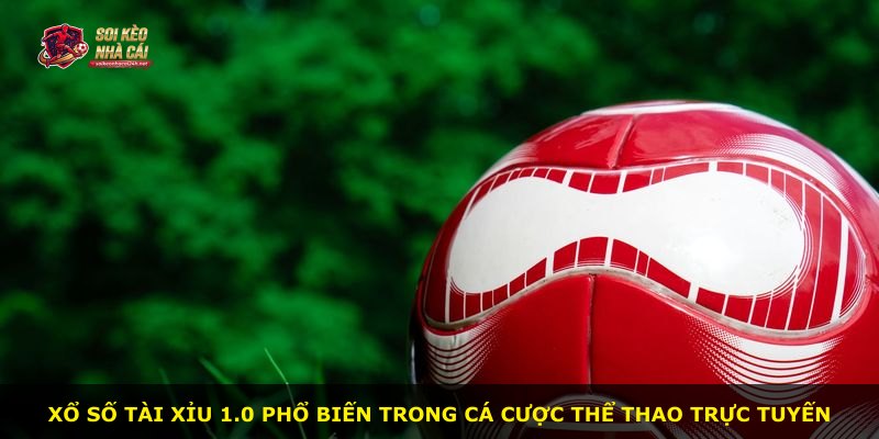 Xổ số Tài Xỉu 1.0 phổ biến trong cá cược thể thao trực tuyến