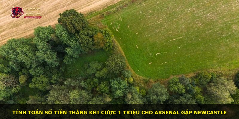 Tính toán số tiền thắng khi cược 1 triệu cho Arsenal gặp Newcastle