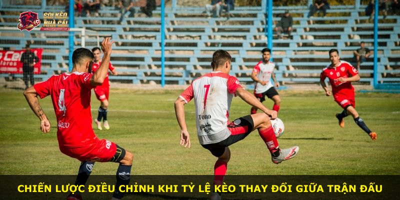 Chiến lược điều chỉnh khi tỷ lệ kèo thay đổi giữa trận đấu