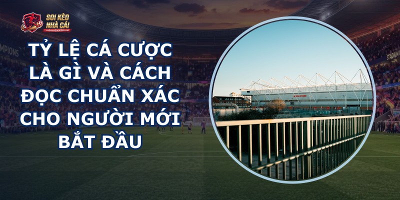 Tỷ Lệ Cá Cược